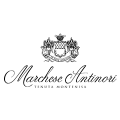 Montenisa Logo