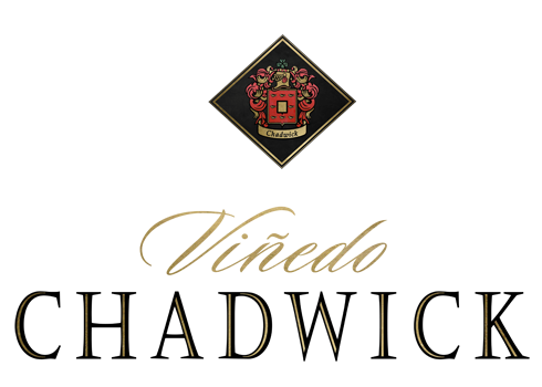 Vinedo Chadwick Logo