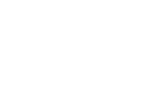 Chateau Haut Brisson Logo