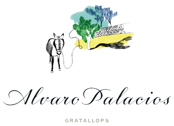 Alvaro Palacios Logo