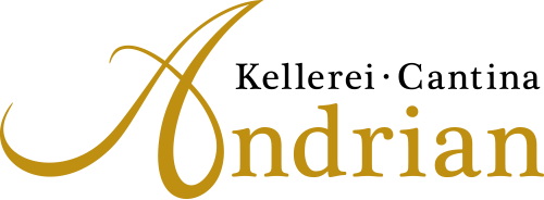 Andrian Logo