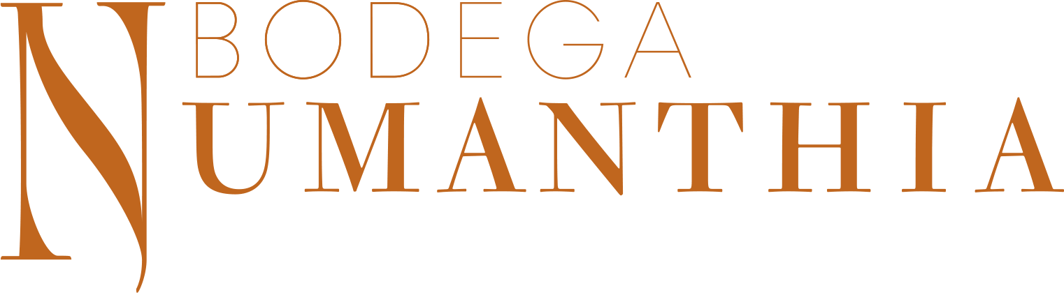 Numanthia Logo