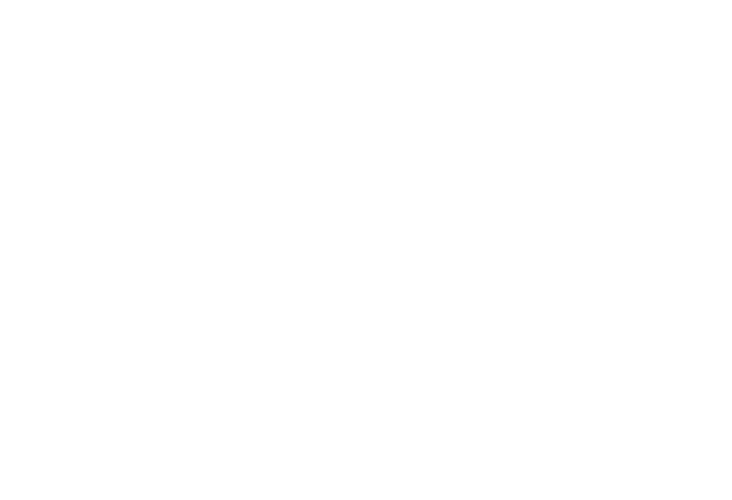 Chateau Bellefont Belcier Logo