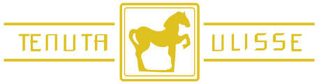 Tenuta Ulisse Logo