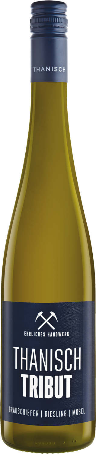Thanisch Riesling Tribut Grauschiefer trocken 2022