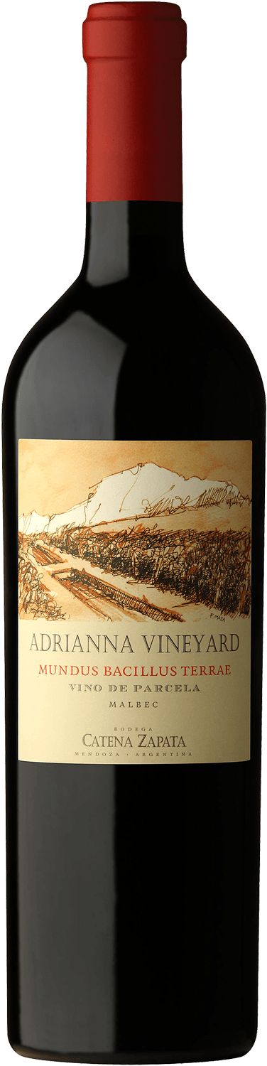 Catena Zapata Mundus Bacillus Terrae Adrianna Vineyard 2015