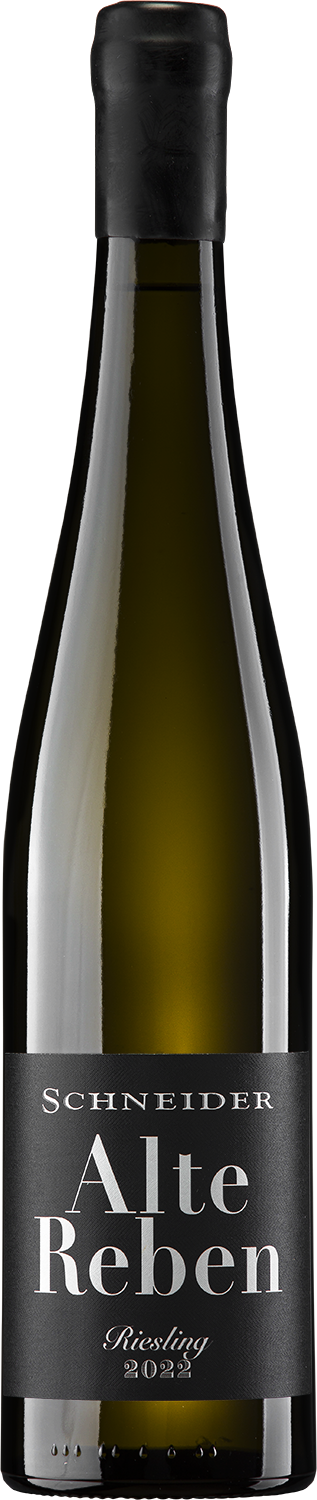 Markus Schneider Riesling Alte Reben trocken 2025