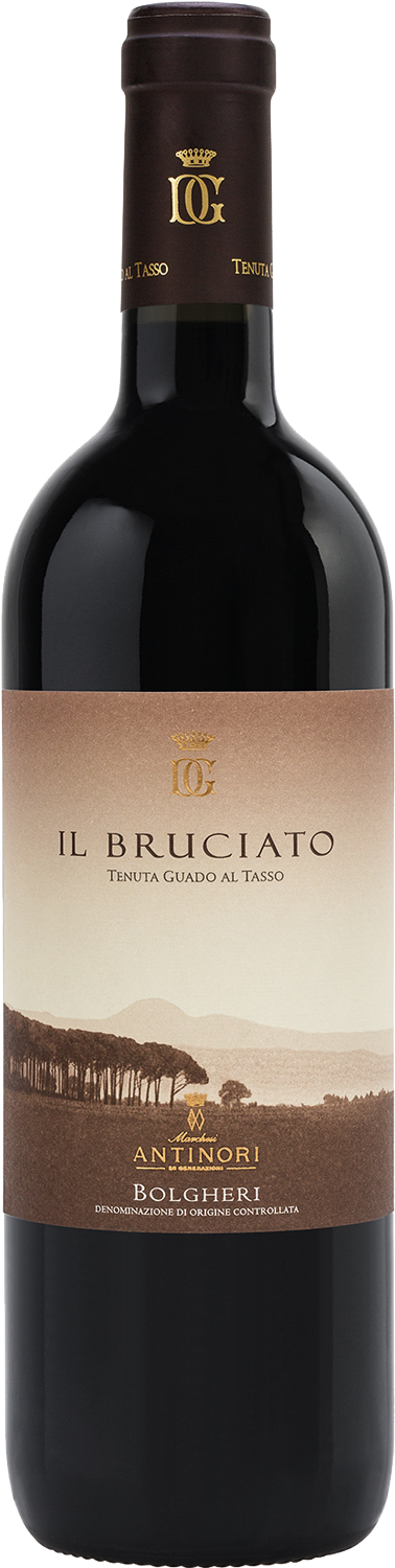 Guado al Tasso Il Bruciato Bolgheri 2023