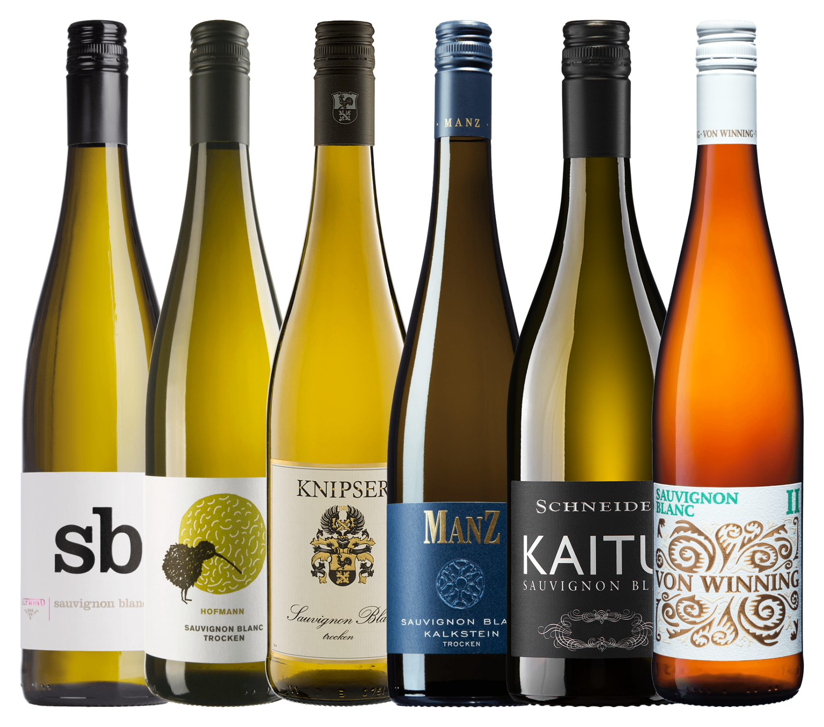 Sauvignon Blanc aus Deutschland: Feinheiten für Entdecker