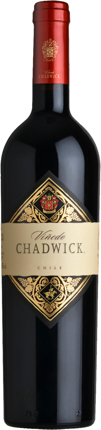 Vinedo Chadwick 2017