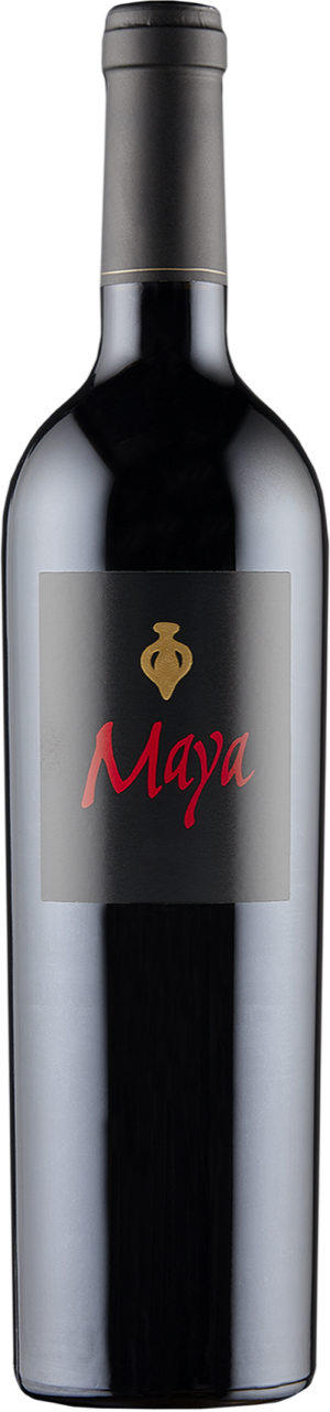 Dalla Valle Maya 2018