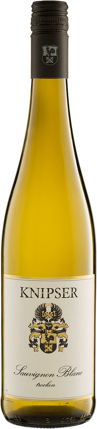 Knipser Sauvignon Blanc trocken 2023 | 6er Vorteilspaket frachtfrei