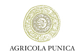 Agricola Punica, Santadi Logo
