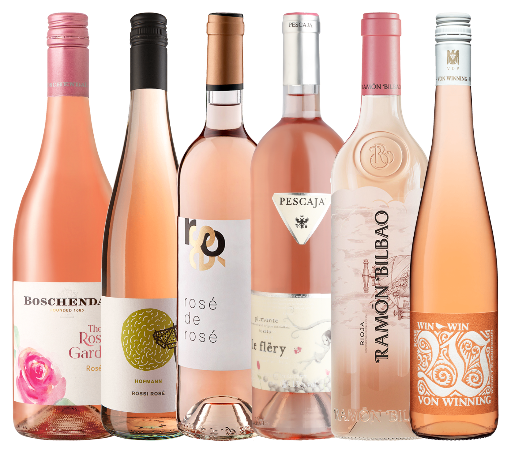 Rose Selektion International