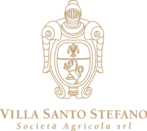Villa Santo Stefano Logo