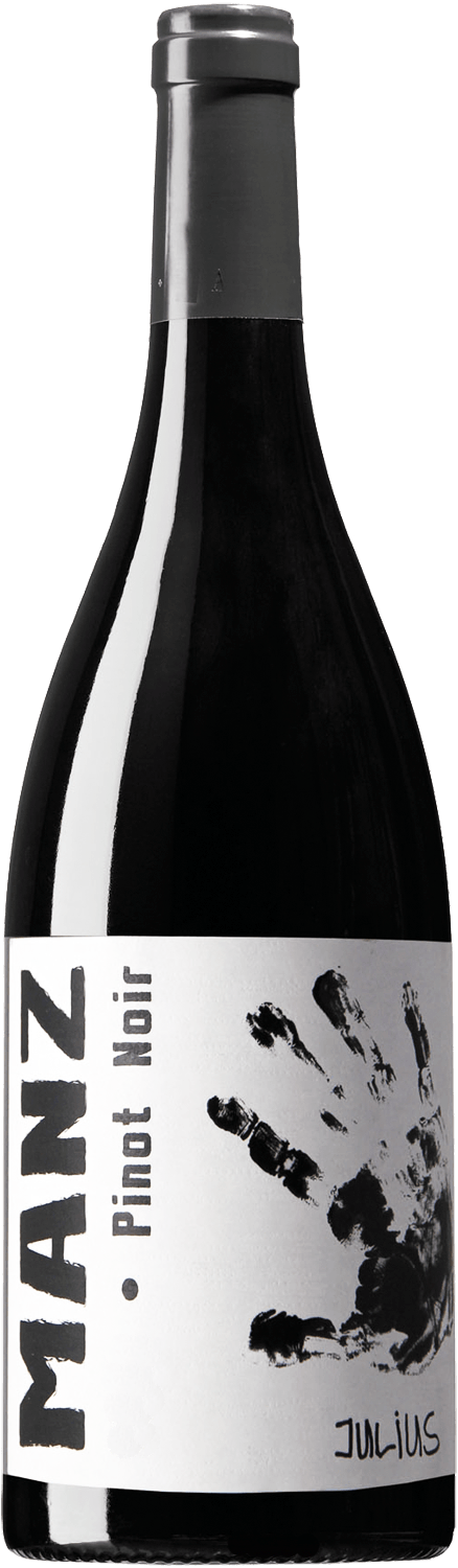 Manz Pinot Noir Julius trocken 2018